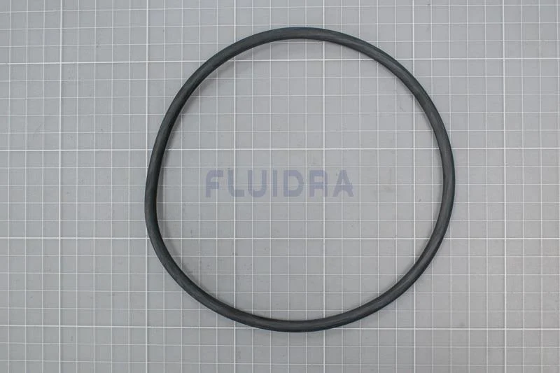 Junta torica de la tapa para filtro AstralPool de AstralPool