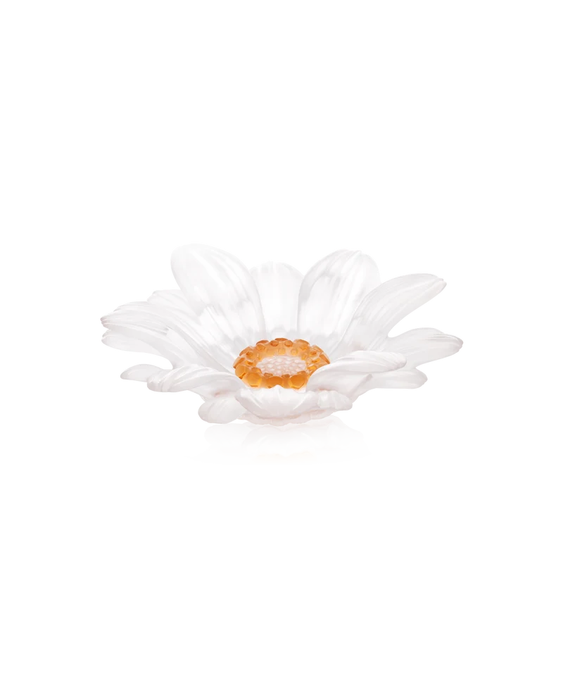 Or d'Abeille Fleur de présentation petit modèle blanche