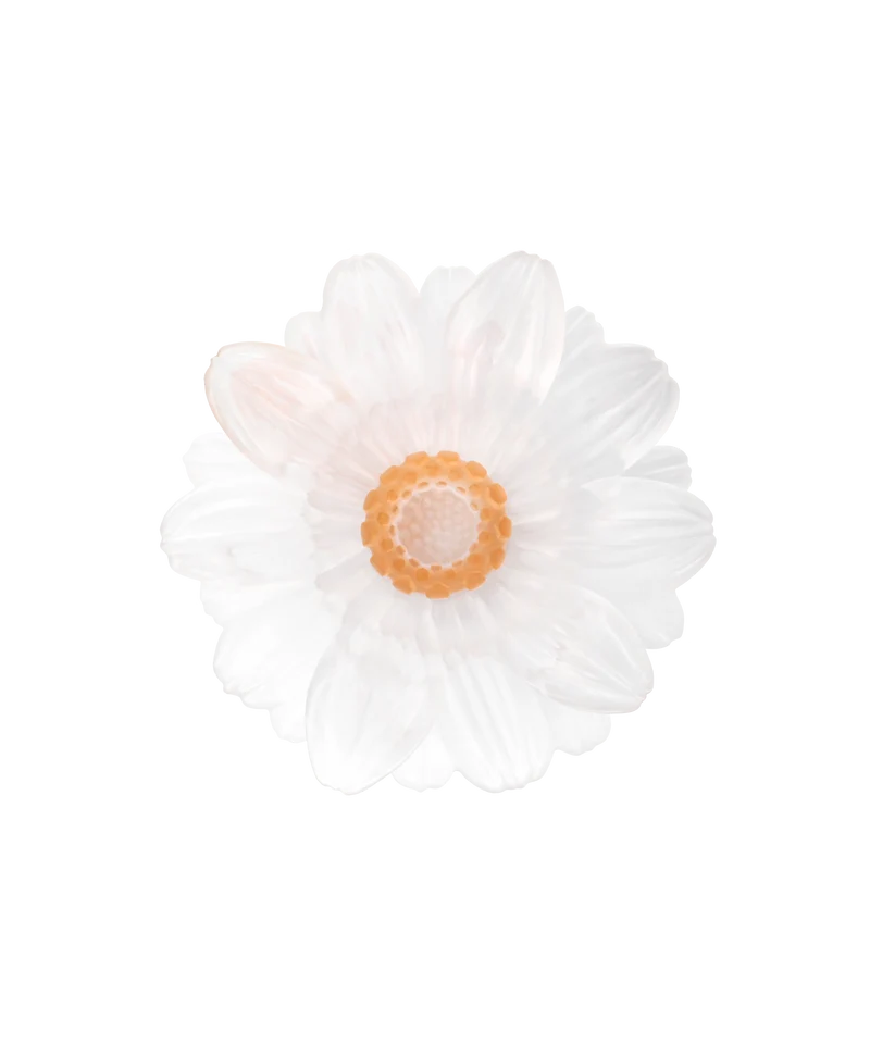 Or d'Abeille Fleur de présentation petit modèle blanche