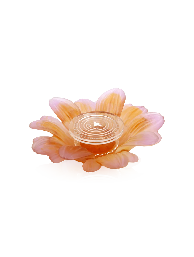 Or d'Abeille Fleur de présentation petit modèle blanche