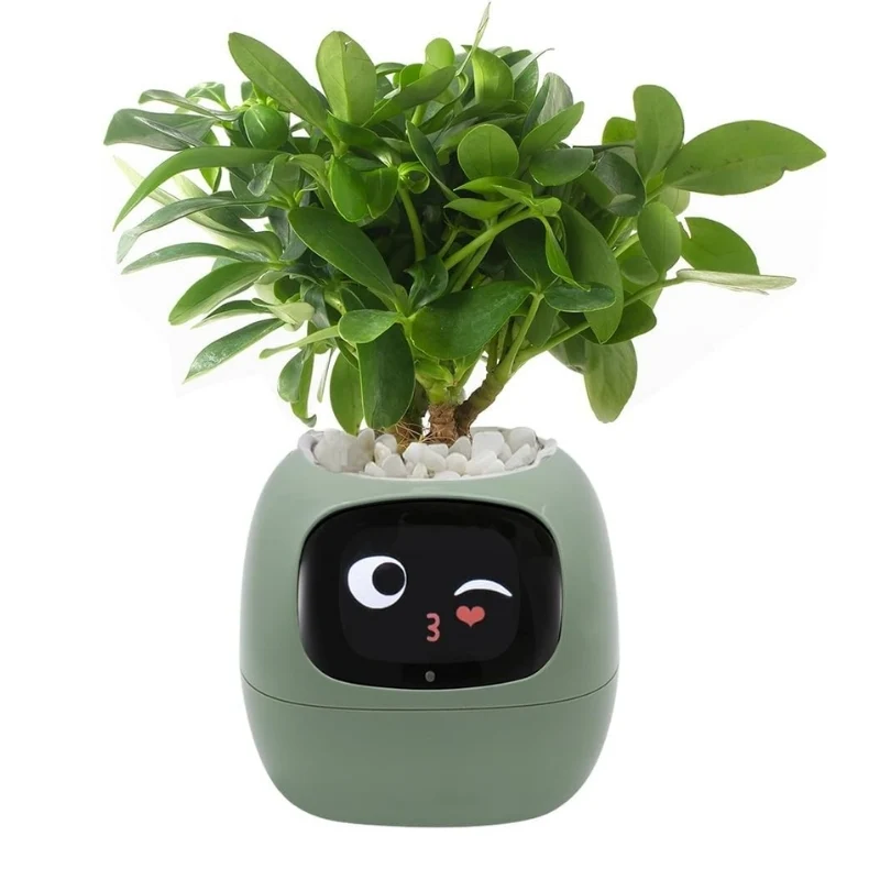 AI Smart Plant Pot with 100+ Expressions