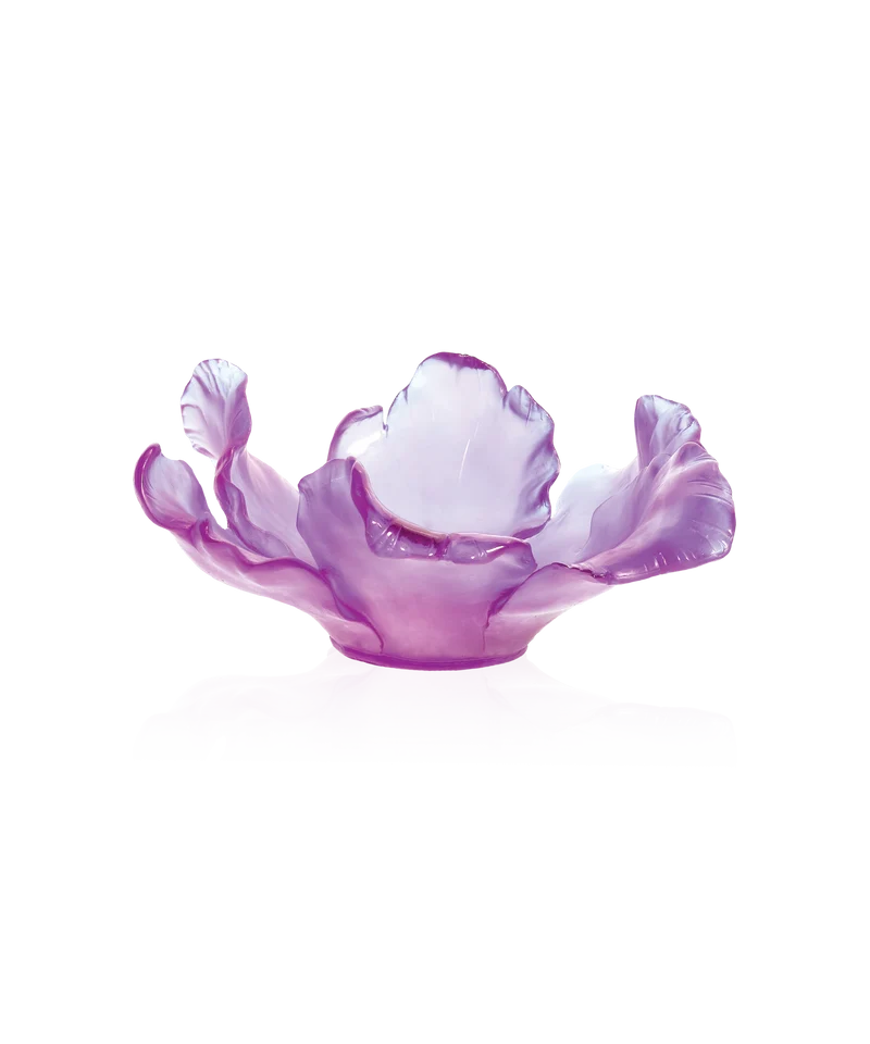Tulipe Coupe Ultraviolet