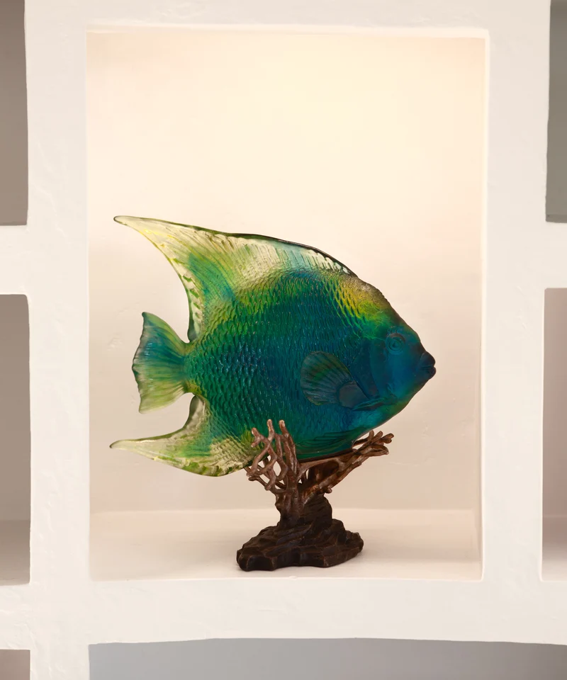 Mer de Corail Ange royal Bleu et jaune 125ex