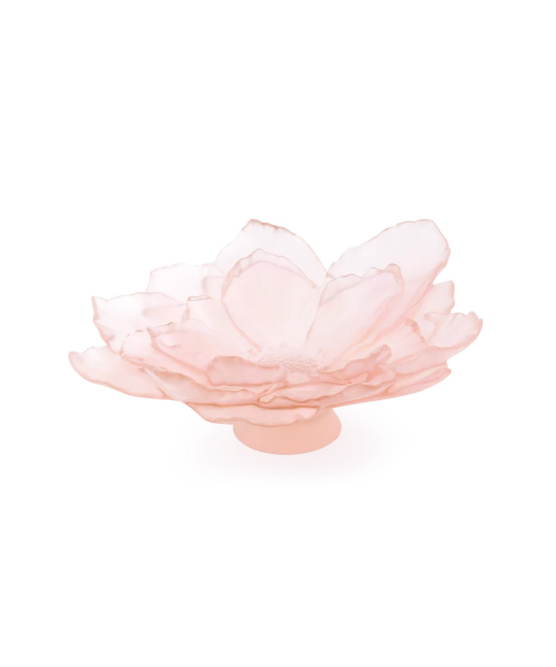 Camelia Coupe grand modèle Rose
