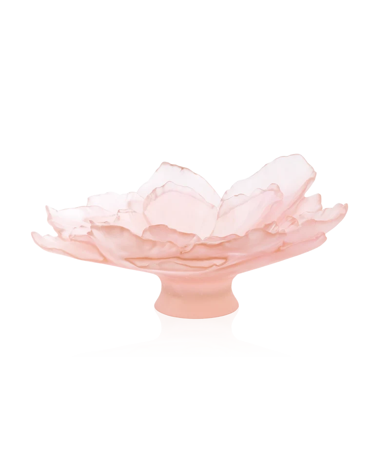 Camelia Coupe grand modèle Rose
