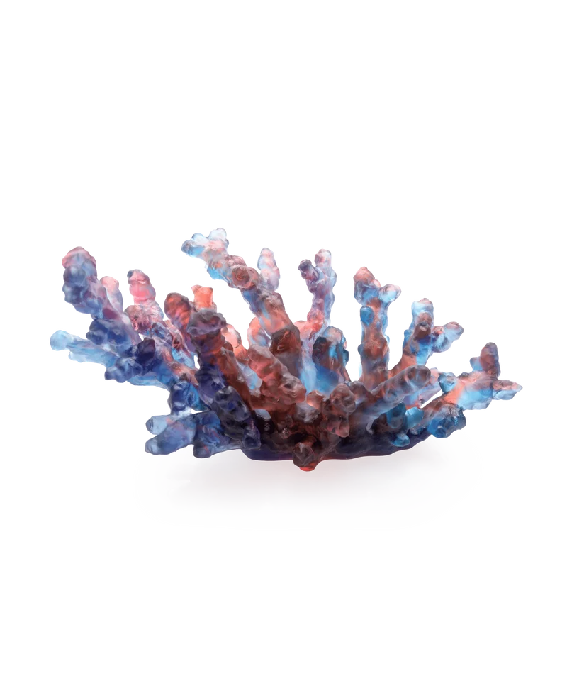 Mer de Corail Coupe moyen modèle Bleue et rouge