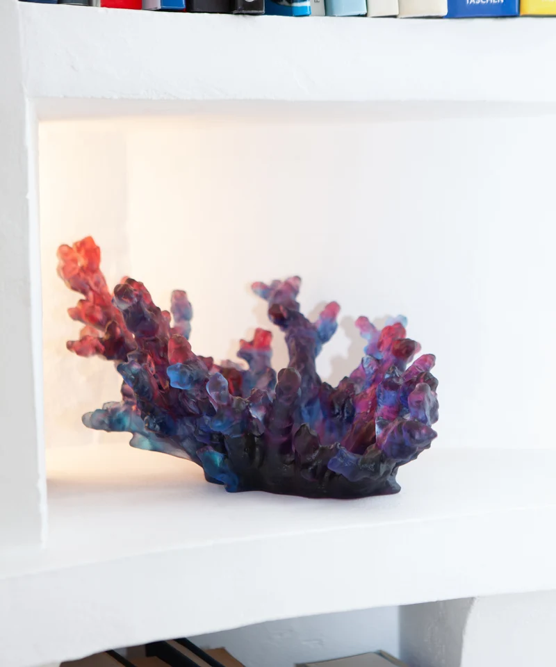 Mer de Corail Coupe moyen modèle Bleue et rouge