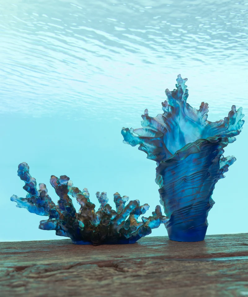 Mer de Corail Coupe moyen modèle Bleue et rouge