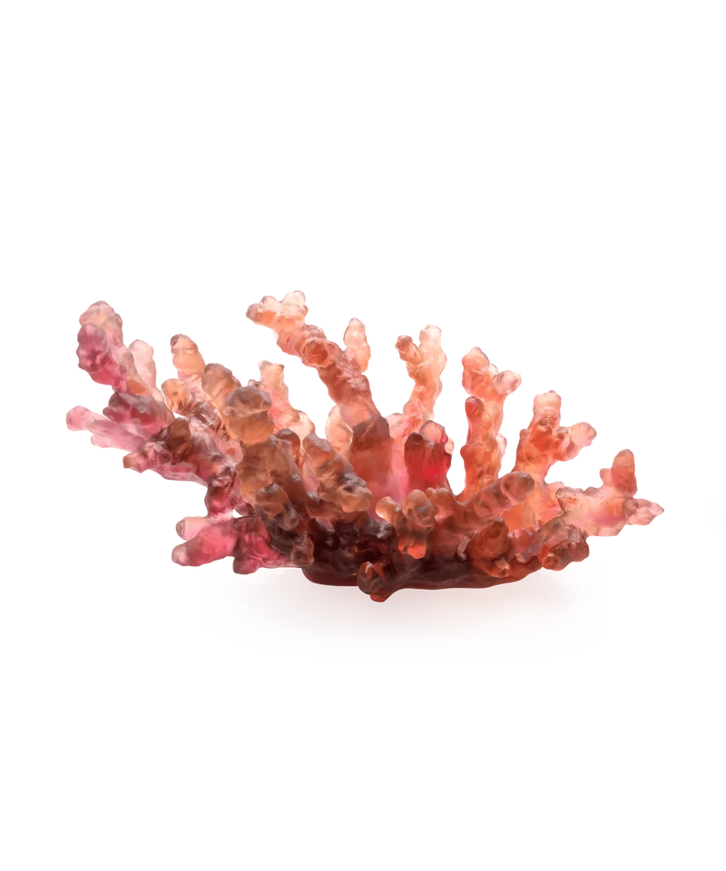 Mer de Corail Coupe moyen modèle Ambre rouge