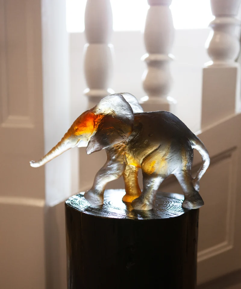 Eléphant Savana