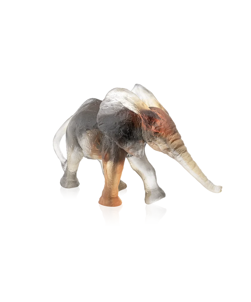 Eléphant Savana