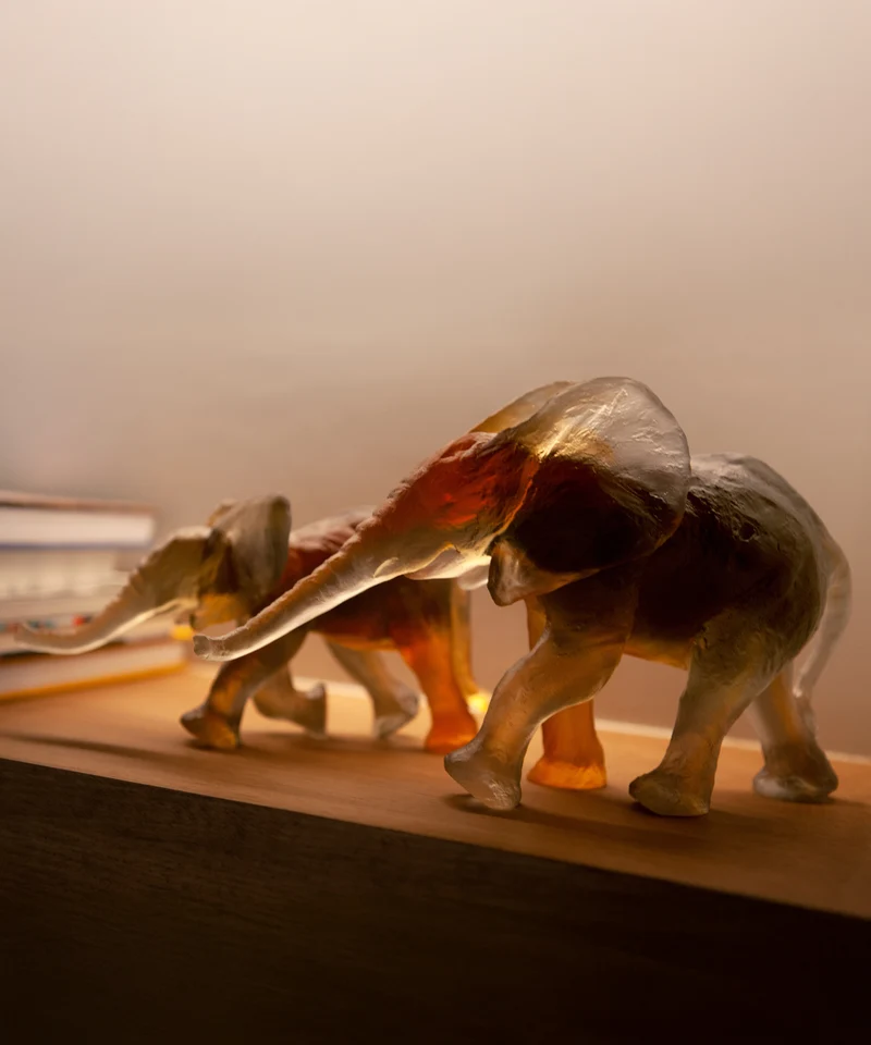 Eléphant Savana