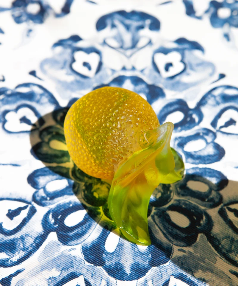 Citrus Citron décoratif