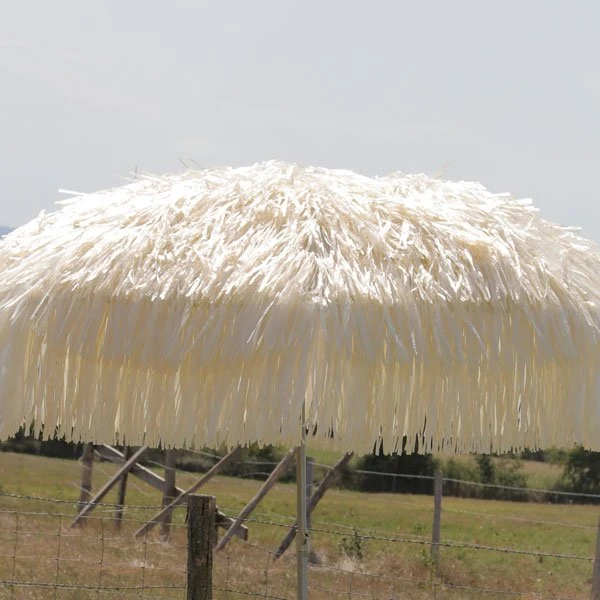 Parasol Hawaï