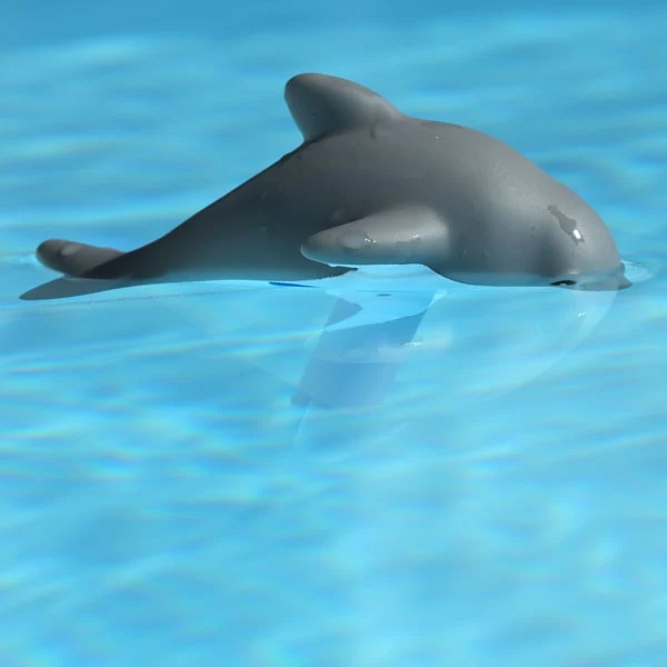 Thermometre de piscine Animals Dolphy