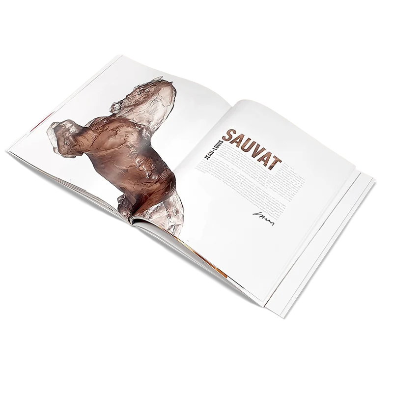 "Livre Daum - Collabs in Crystal Art Couverture ""Paris with Love - Kongo"""