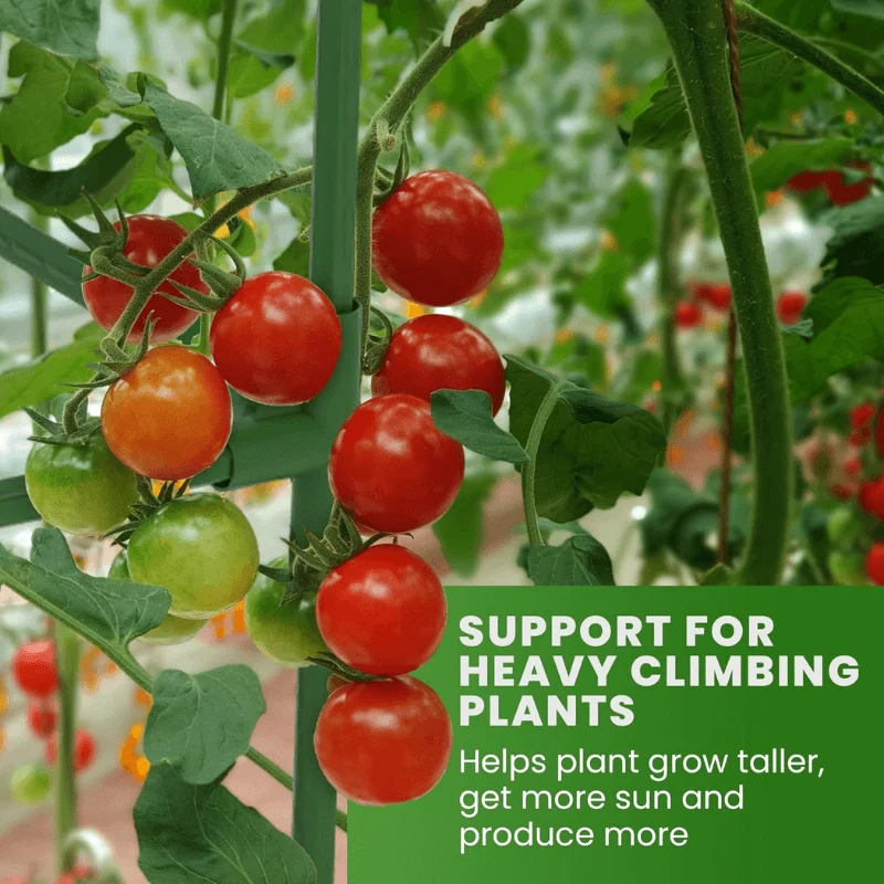 Square Tomato Plant Cage for Garden & Climbing Plant [3 Set]