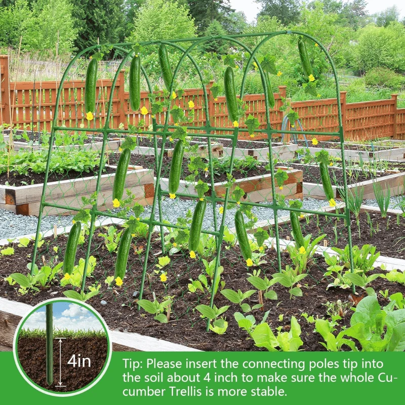 Garden Cucumber Trellis for Climbing Plants Outdoor