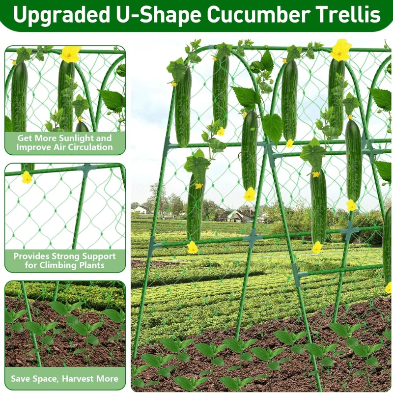 Garden Cucumber Trellis for Climbing Plants Outdoor