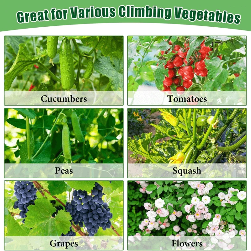 Garden Cucumber Trellis for Climbing Plants Outdoor
