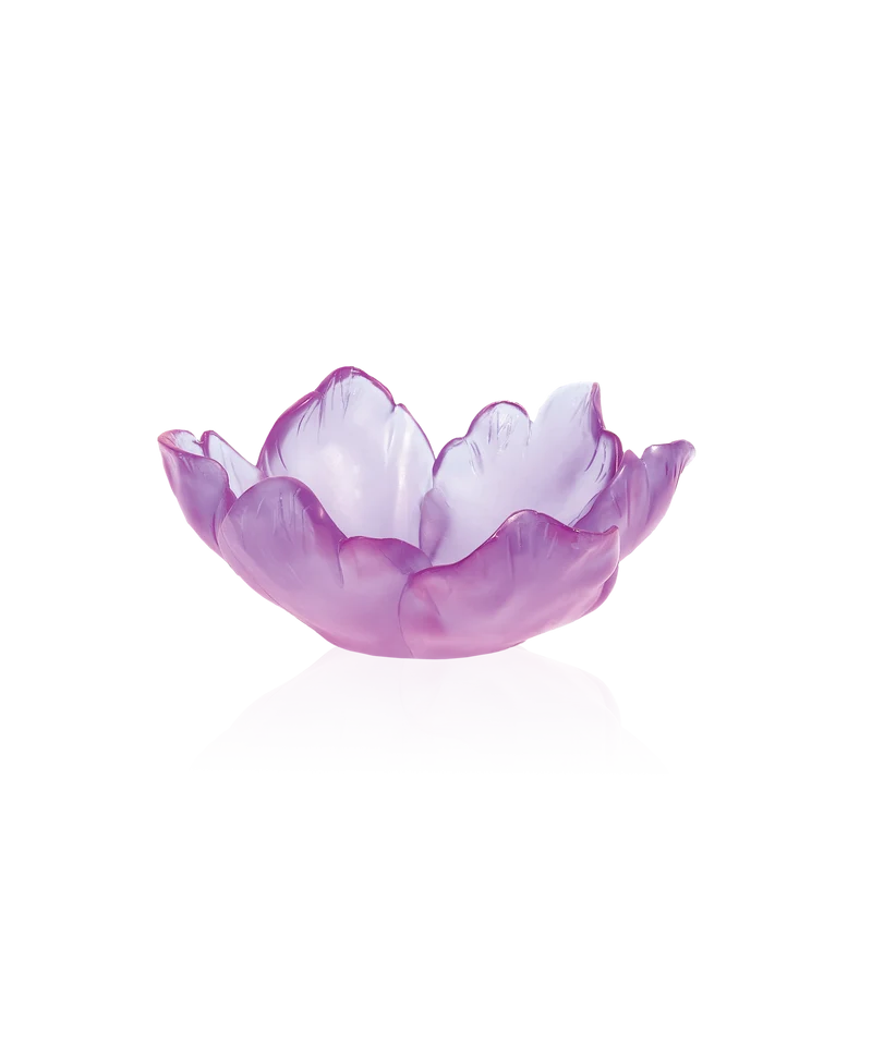 Tulipe Coupelle Ultraviolet