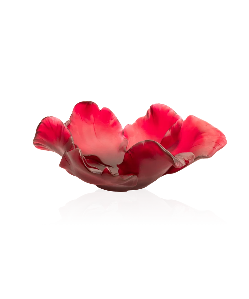 Tulipe Coupe Rouge