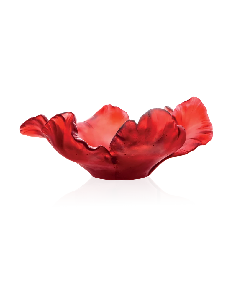 Tulipe Coupe Rouge