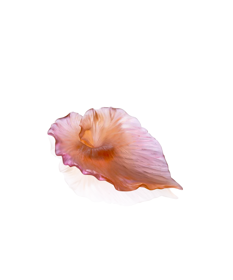 Arum Coupe Ambre-rose