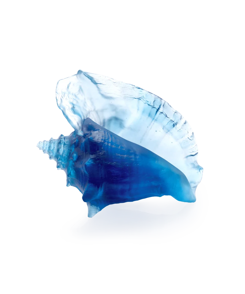 Mer de Corail Coquillage conque