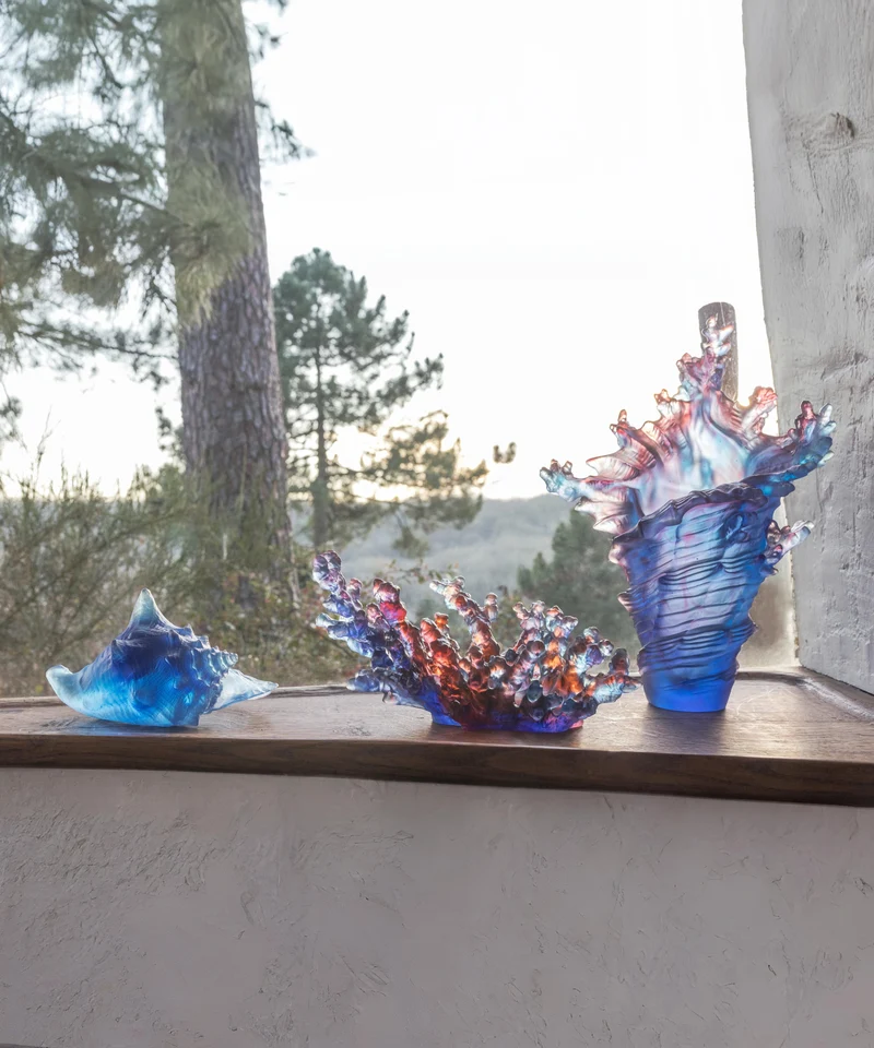 Mer de Corail Coquillage conque