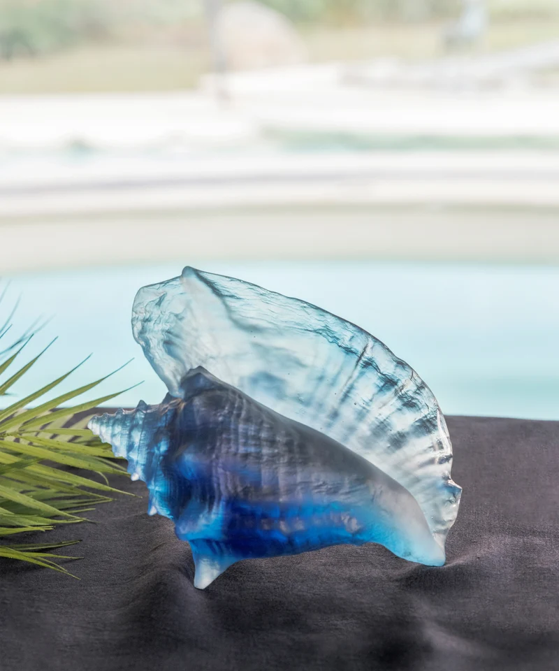 Mer de Corail Coquillage conque