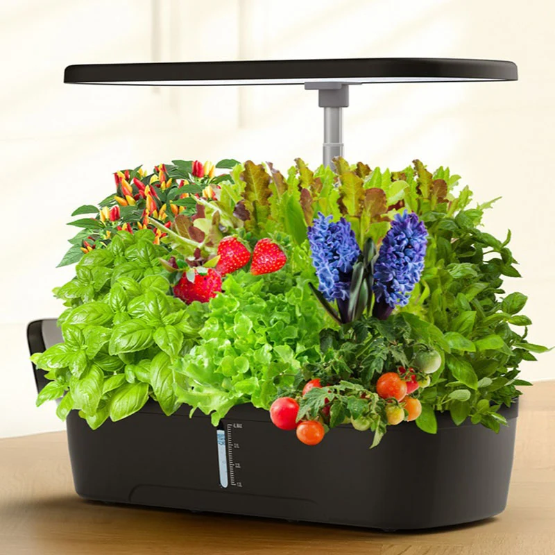 12 Pods Hydroponics Growing System Kit