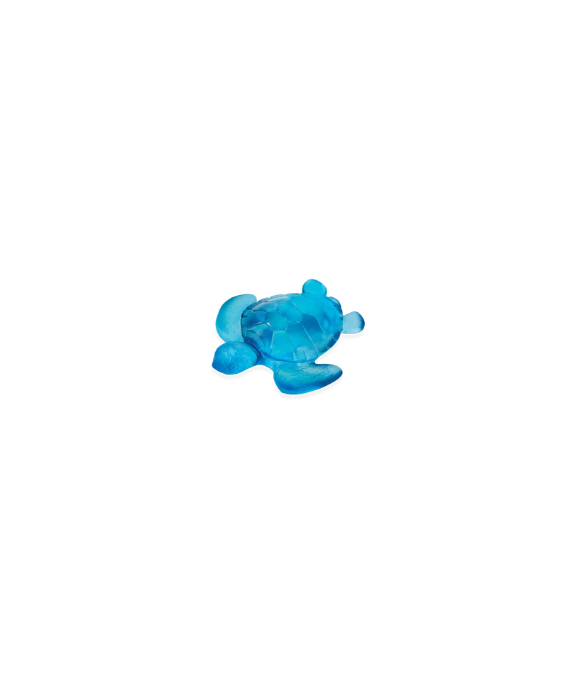 Mini tortue Bleue
