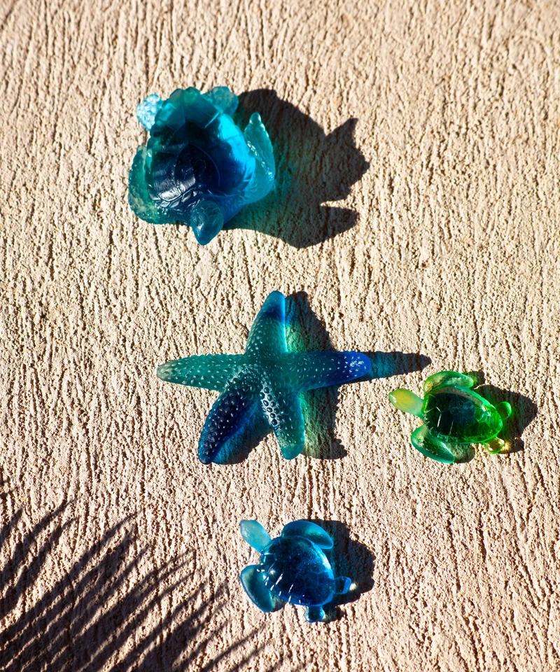Mini tortue Bleue