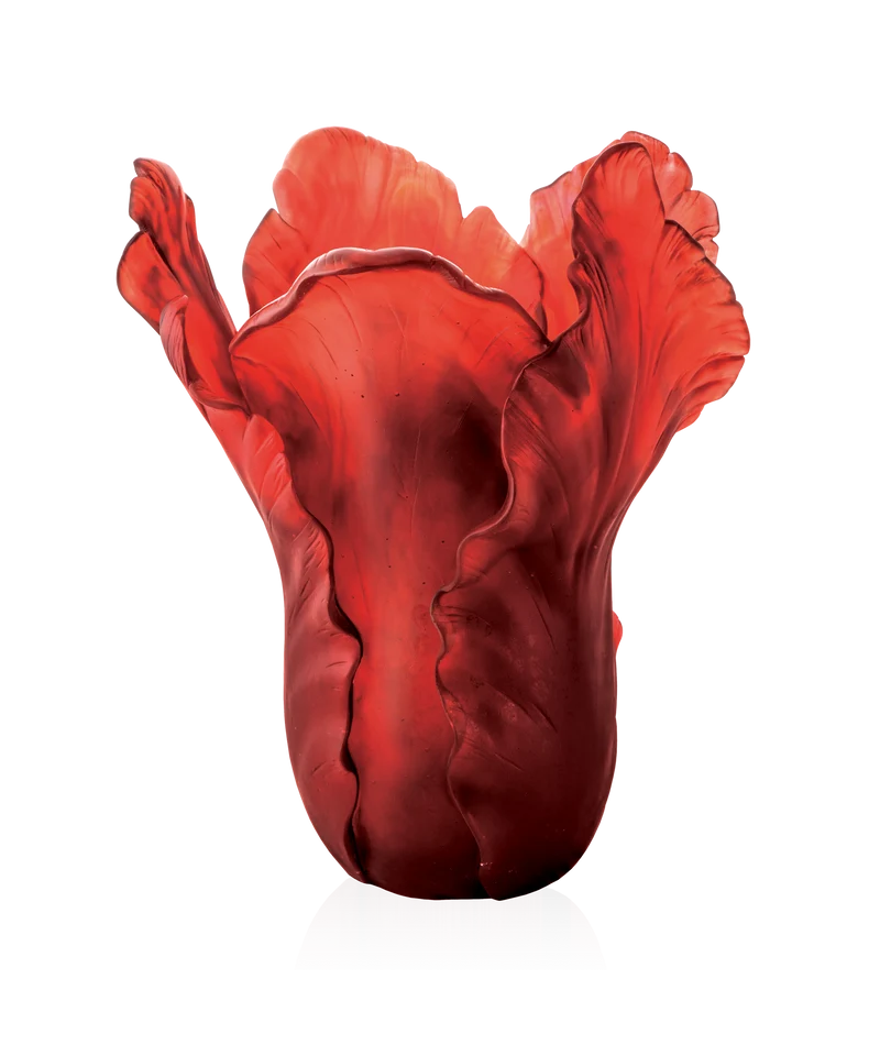 Tulipe Vase magnum Rouge 50ex