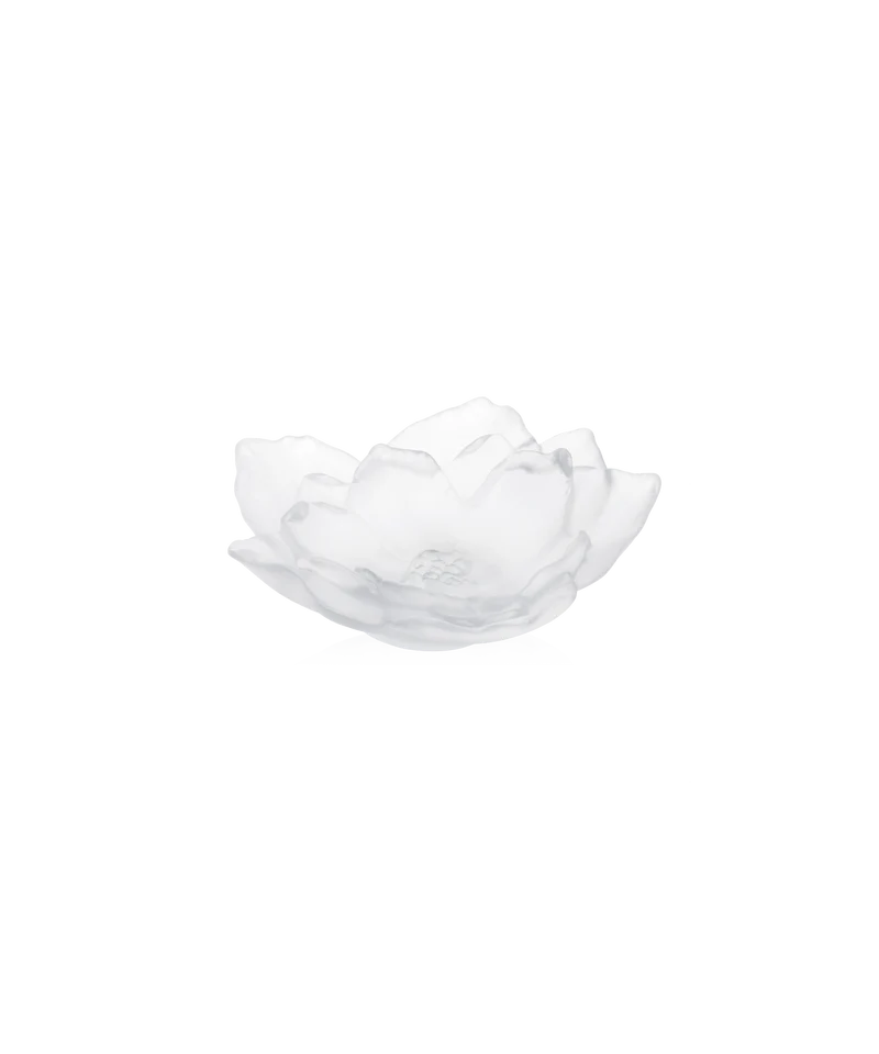 Camelia Coupe petit modèle Blanche