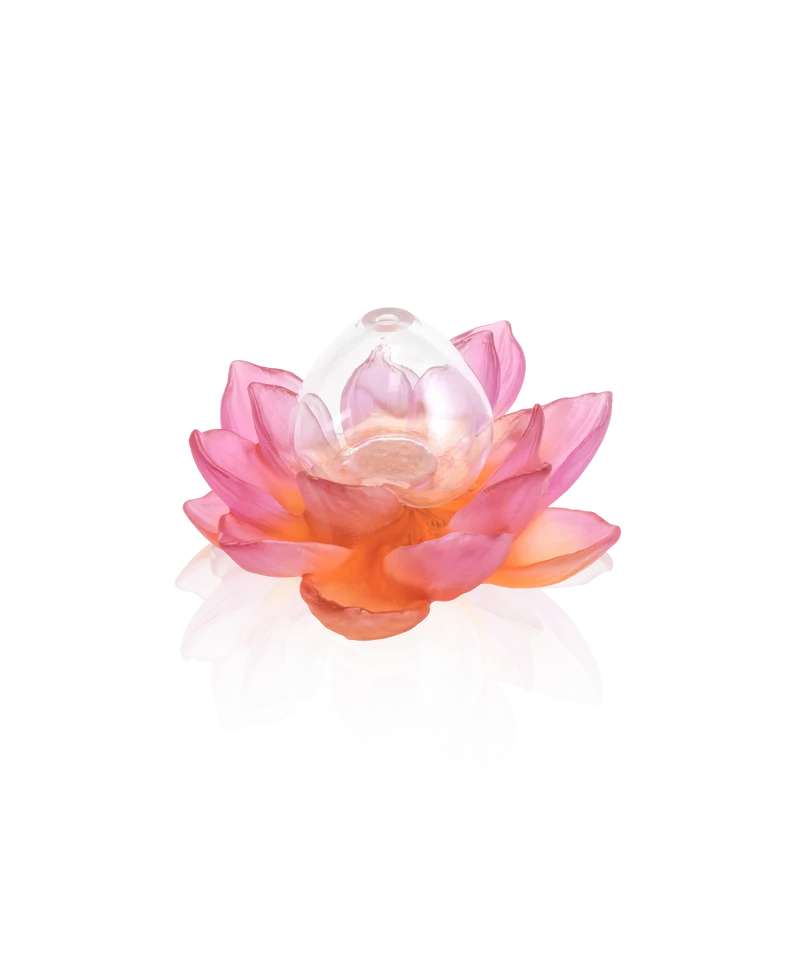 Jardin de Lotus Soliflore Ambre-rose