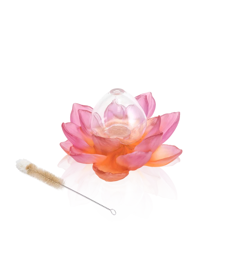 Jardin de Lotus Soliflore Ambre-rose