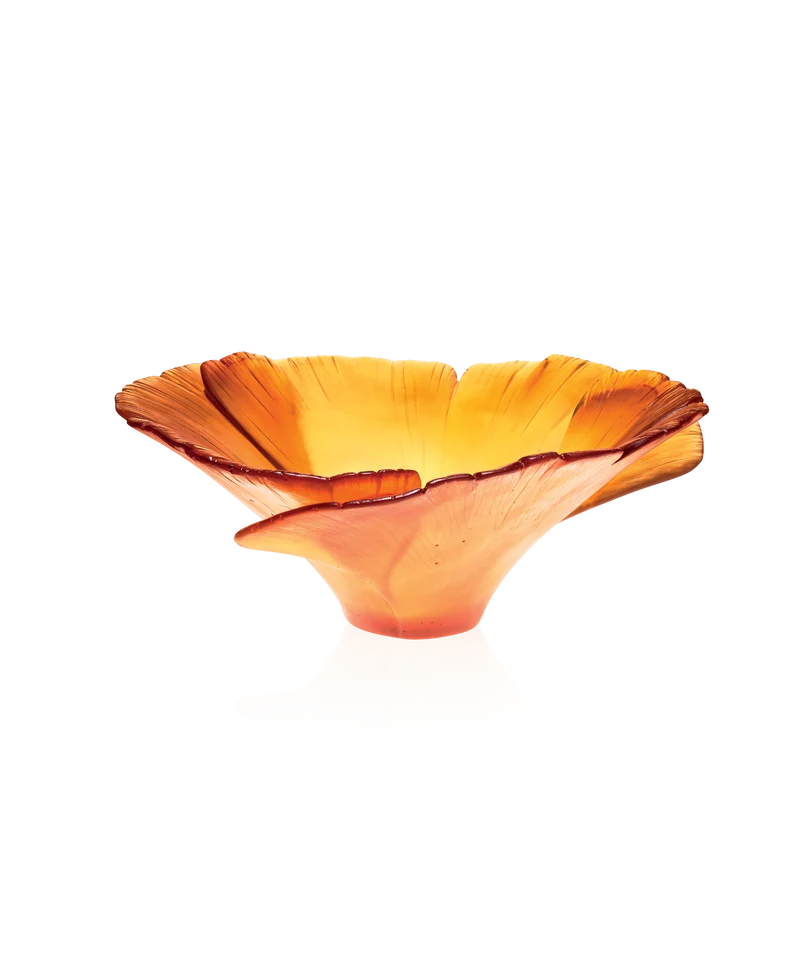 Ginkgo Coupe haute Ambre