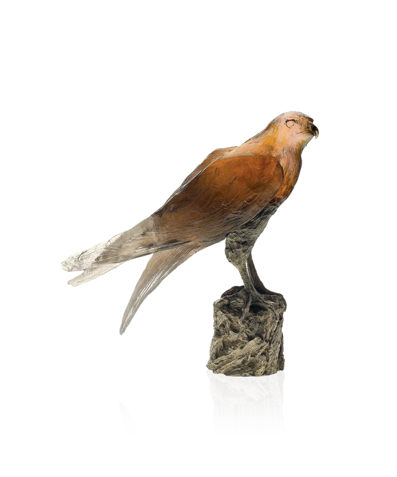 Faucon Saker de Madeleine Van der Knoop 375ex