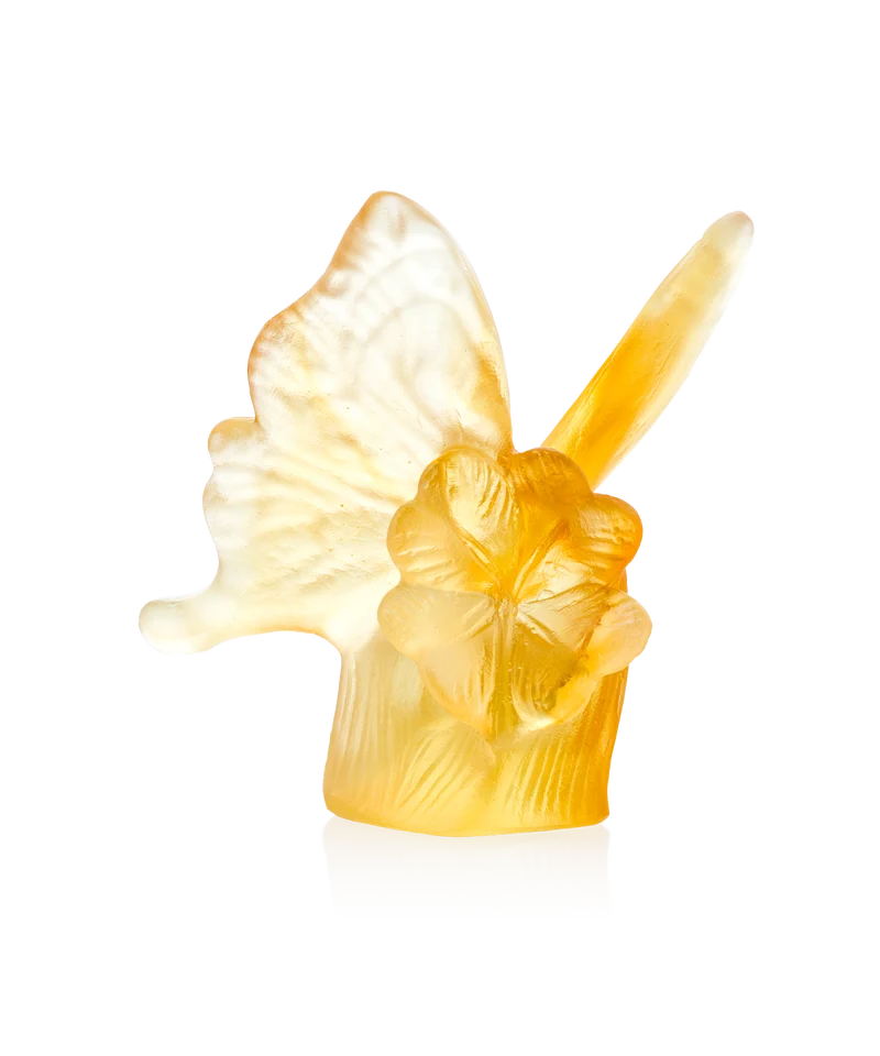 Papillon Ambre et jaune