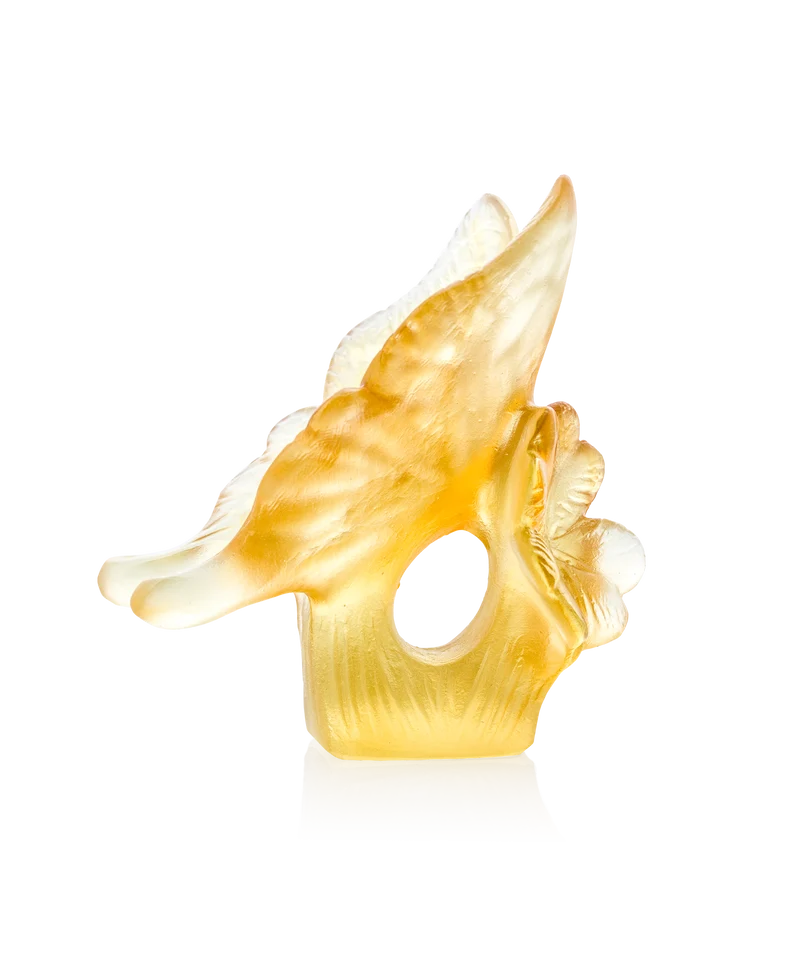 Papillon Ambre et jaune