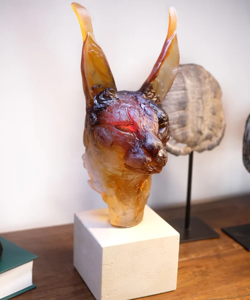 Tête de Caracal de Isabelle Carabantes 75ex