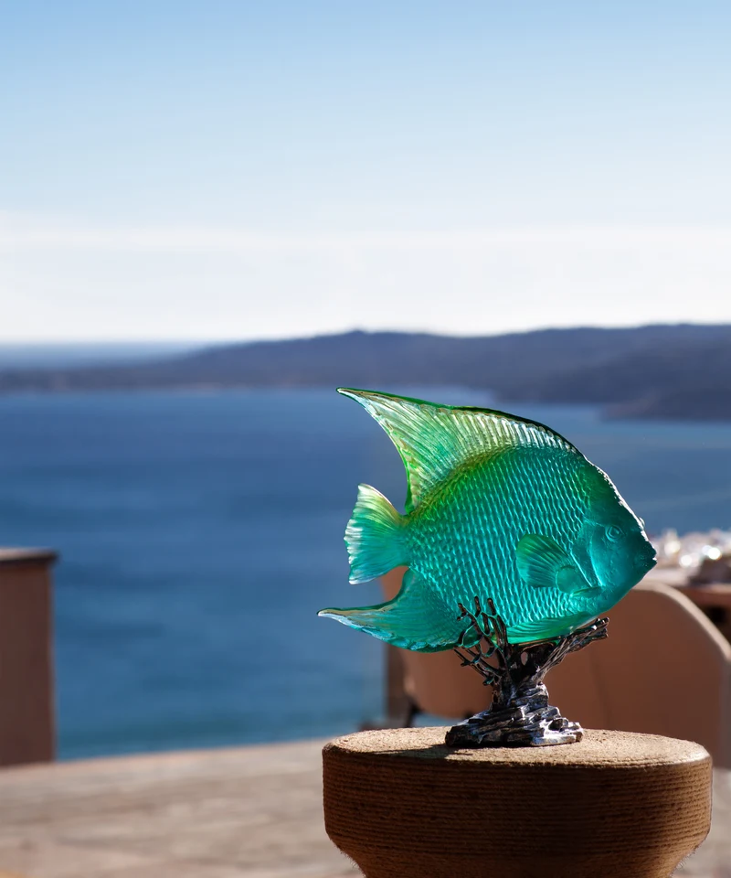 Mer de Corail Ange royal Turquoise