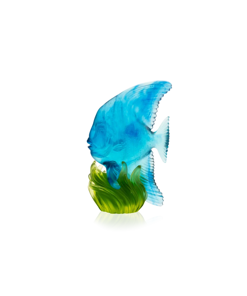 Maya Platax moyen modèle Bleu et vert