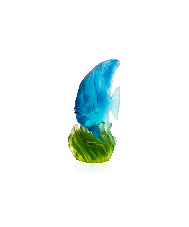 Maya Platax moyen modèle Bleu et vert