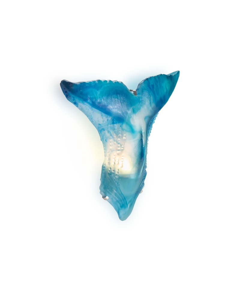 Maya Applique baleine