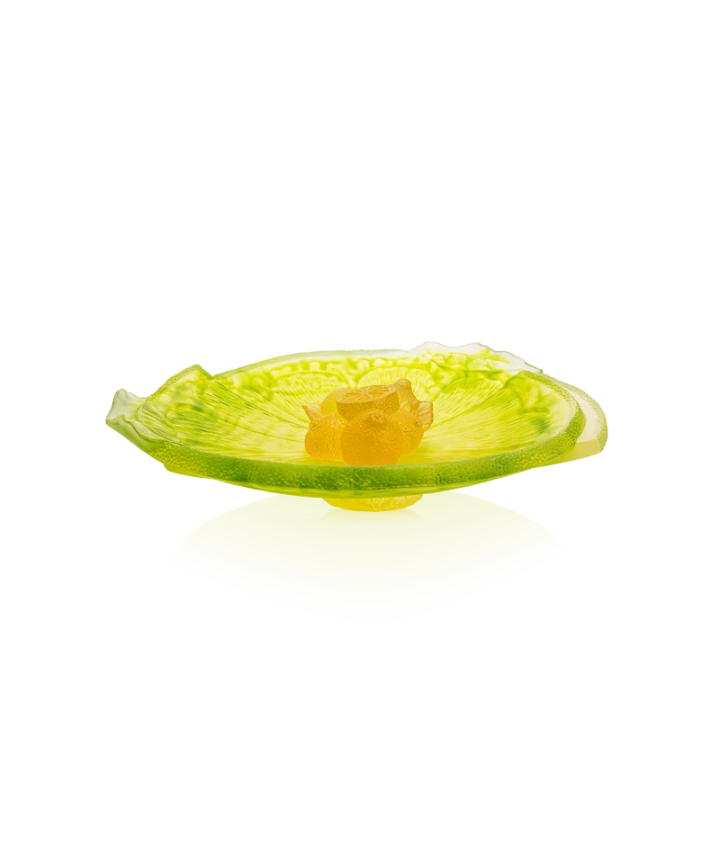 Citrus Coupe sur pied 225ex