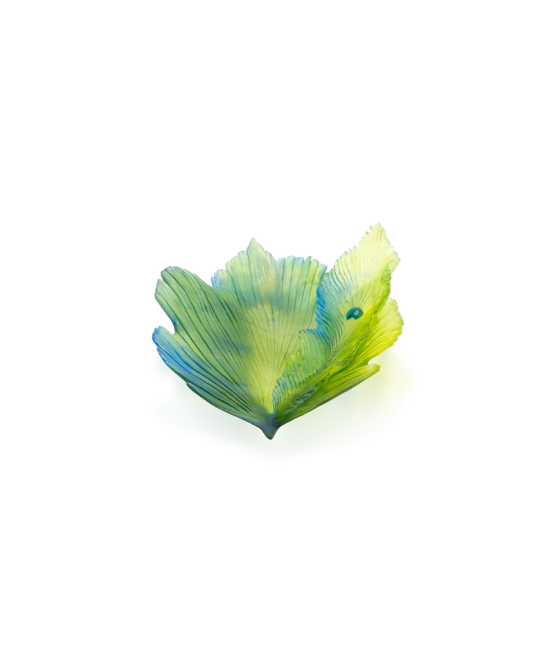 Fleur de Paon Exotique Coupe moyen modèle