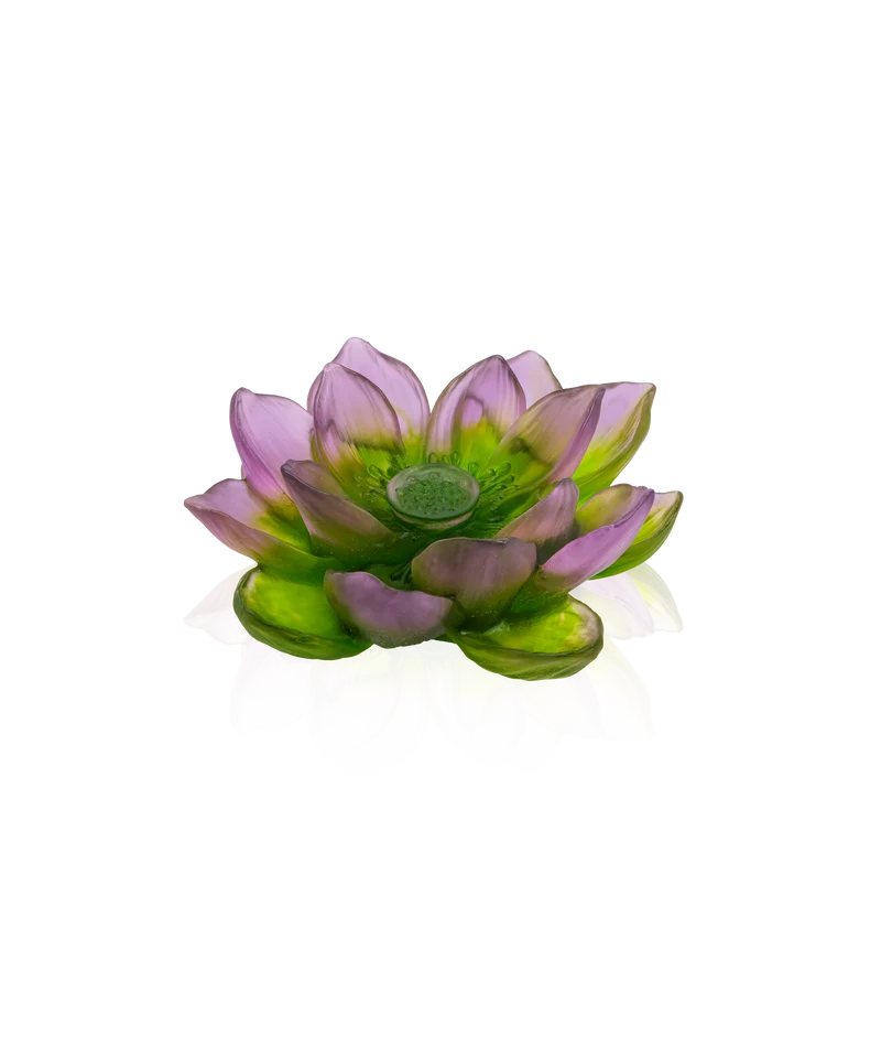 Jardin de Lotus Fleur décorative Violet-vert